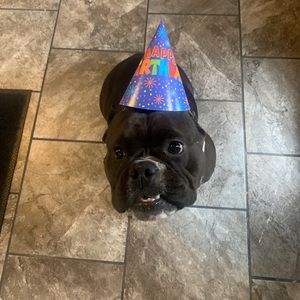 Meet your Posher, Dennis